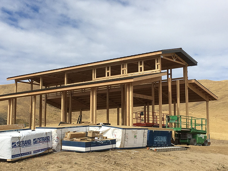 A monitor style pole barn shouse or shome is at the rough framing stage of construction