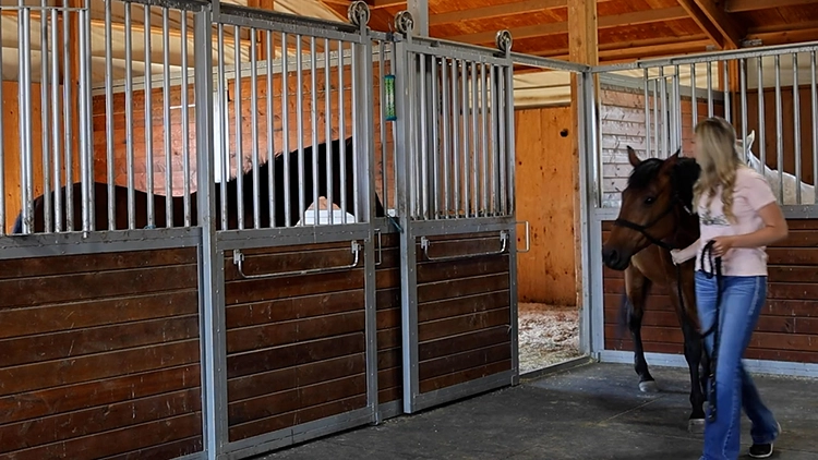 A woman leads her horse into a custom build stall in her livestock barn for horses