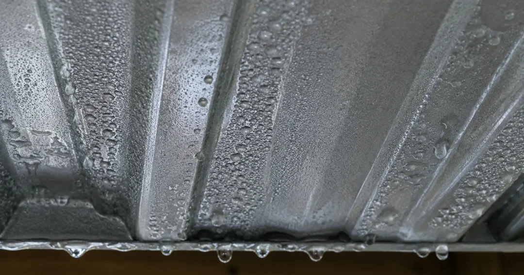 A closeup of condensation on a metal roofing panel of a pole barn