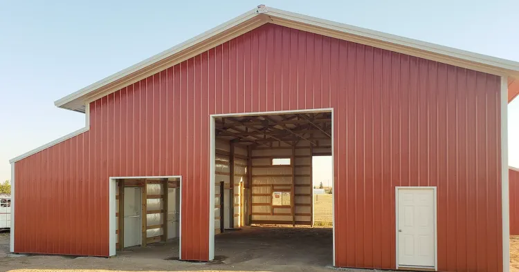A horse standing outside a pole barn in turnout, the kind of setting where run in sheds give shelter on demand